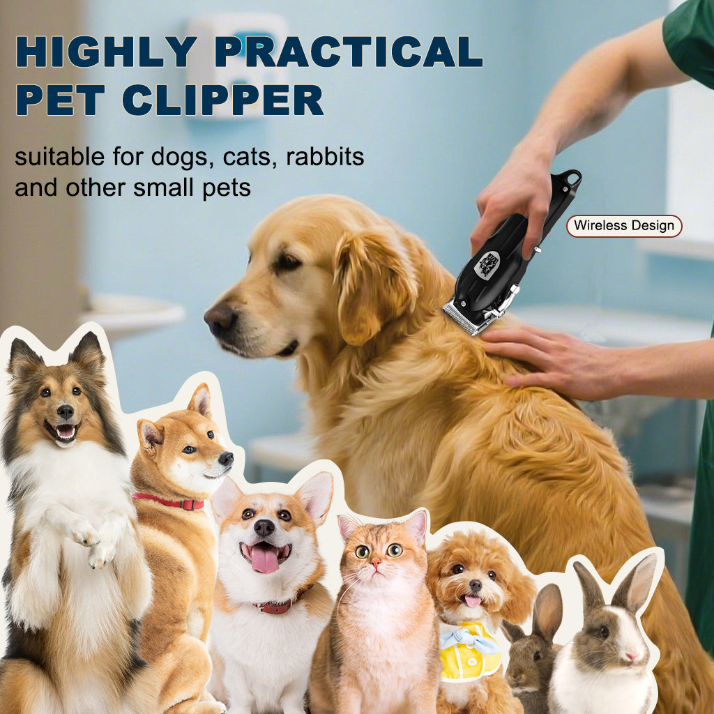 LQT Opulent All-Black Pet-Emblem Full-Tool Pet Grooming Kit