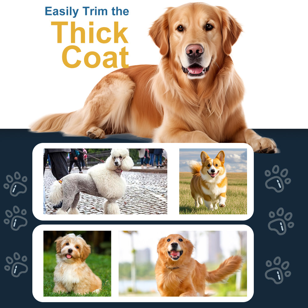 LQT Opulent Silver Pet-Emblem Pet Grooming Clipper Kit